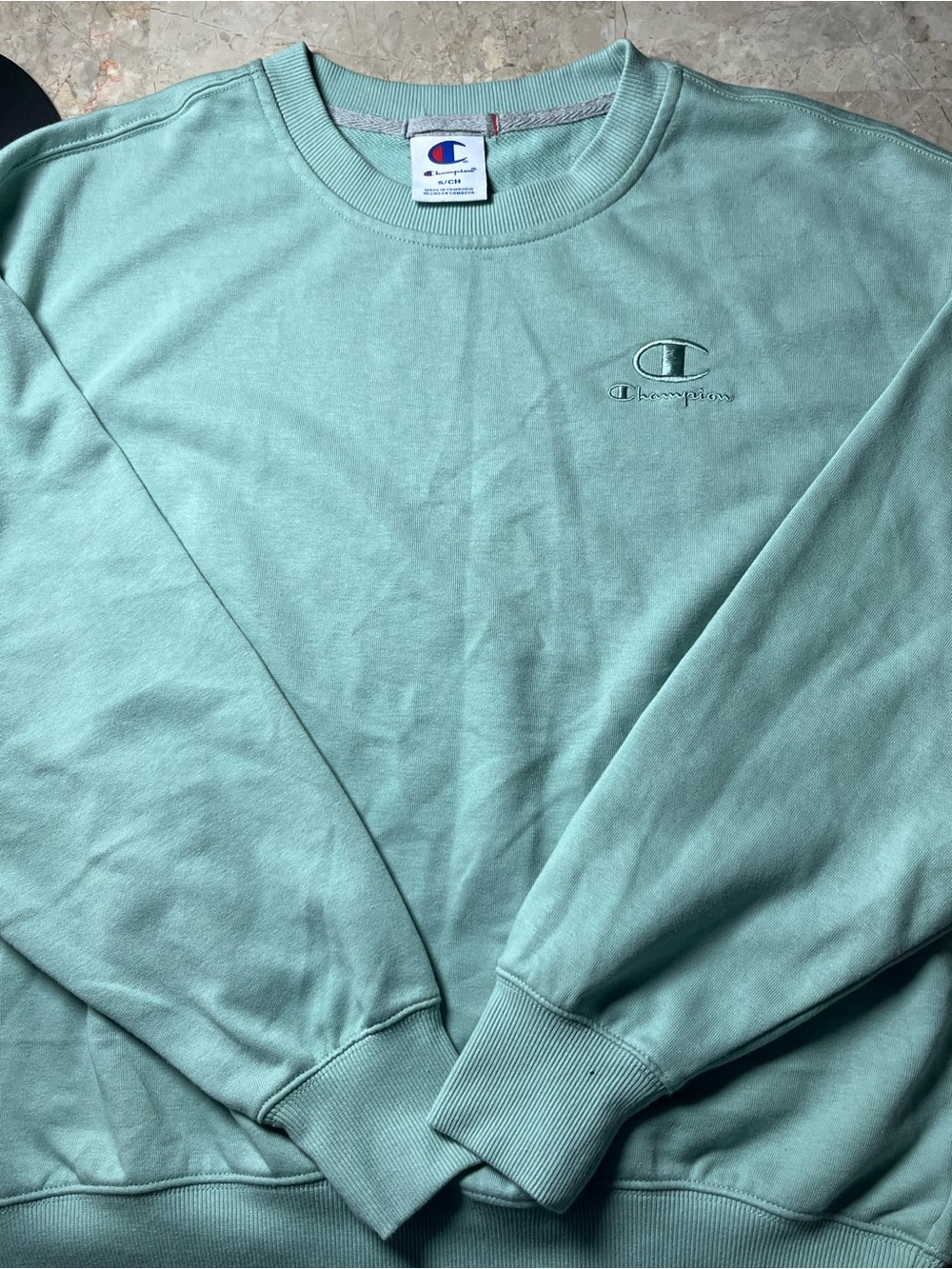 Champion Men's Crewneck Sweatshirt in Seafoam